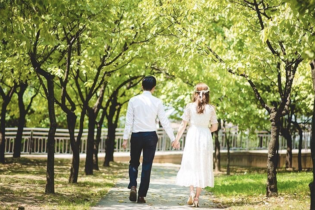 楊花大橋 仙遊島公園 合井