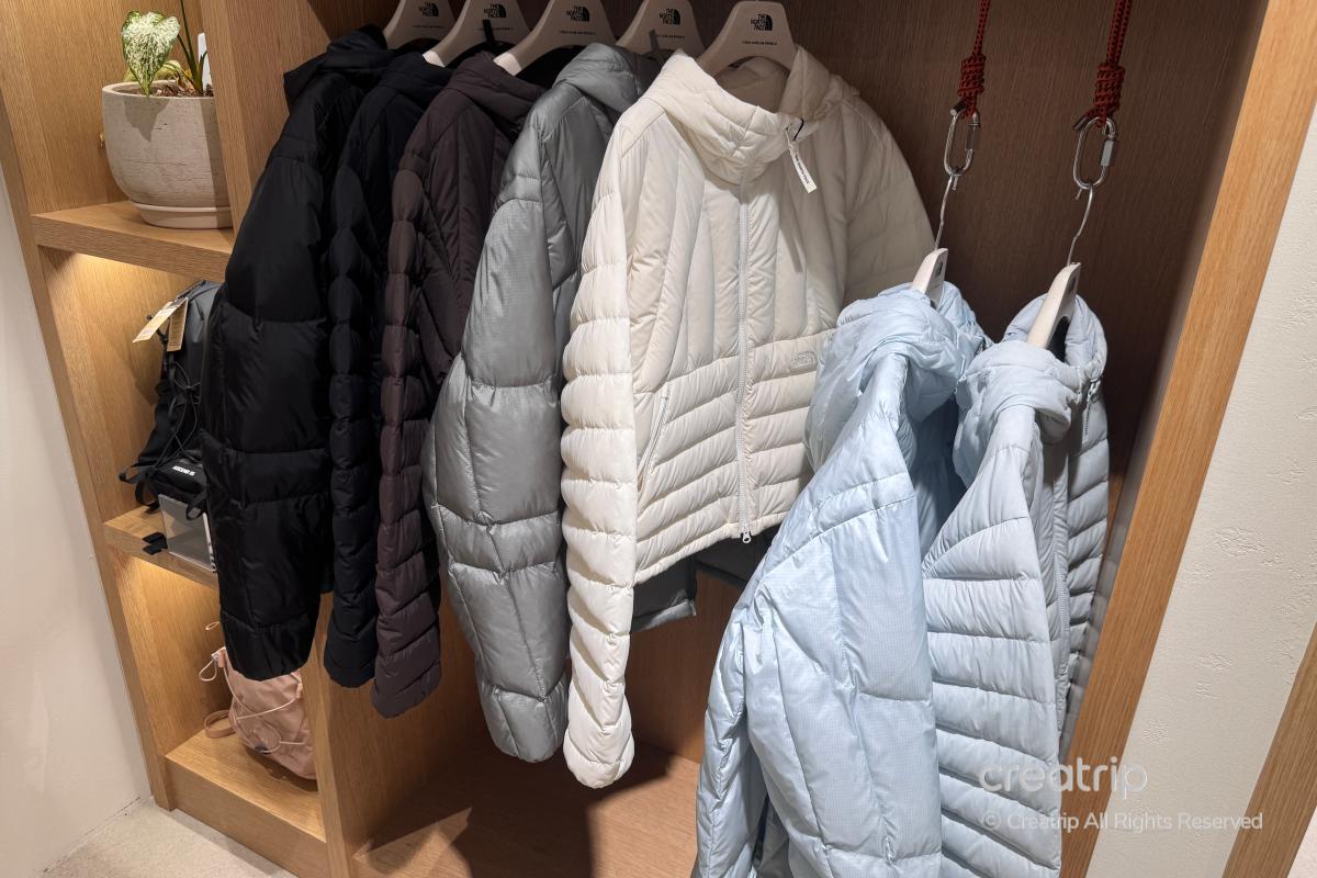 batch_The North Face 169.png