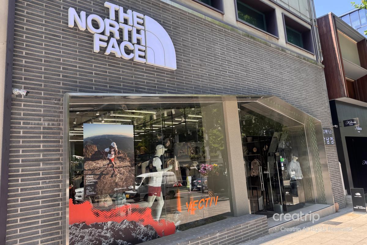 batch_The North Face 44.png