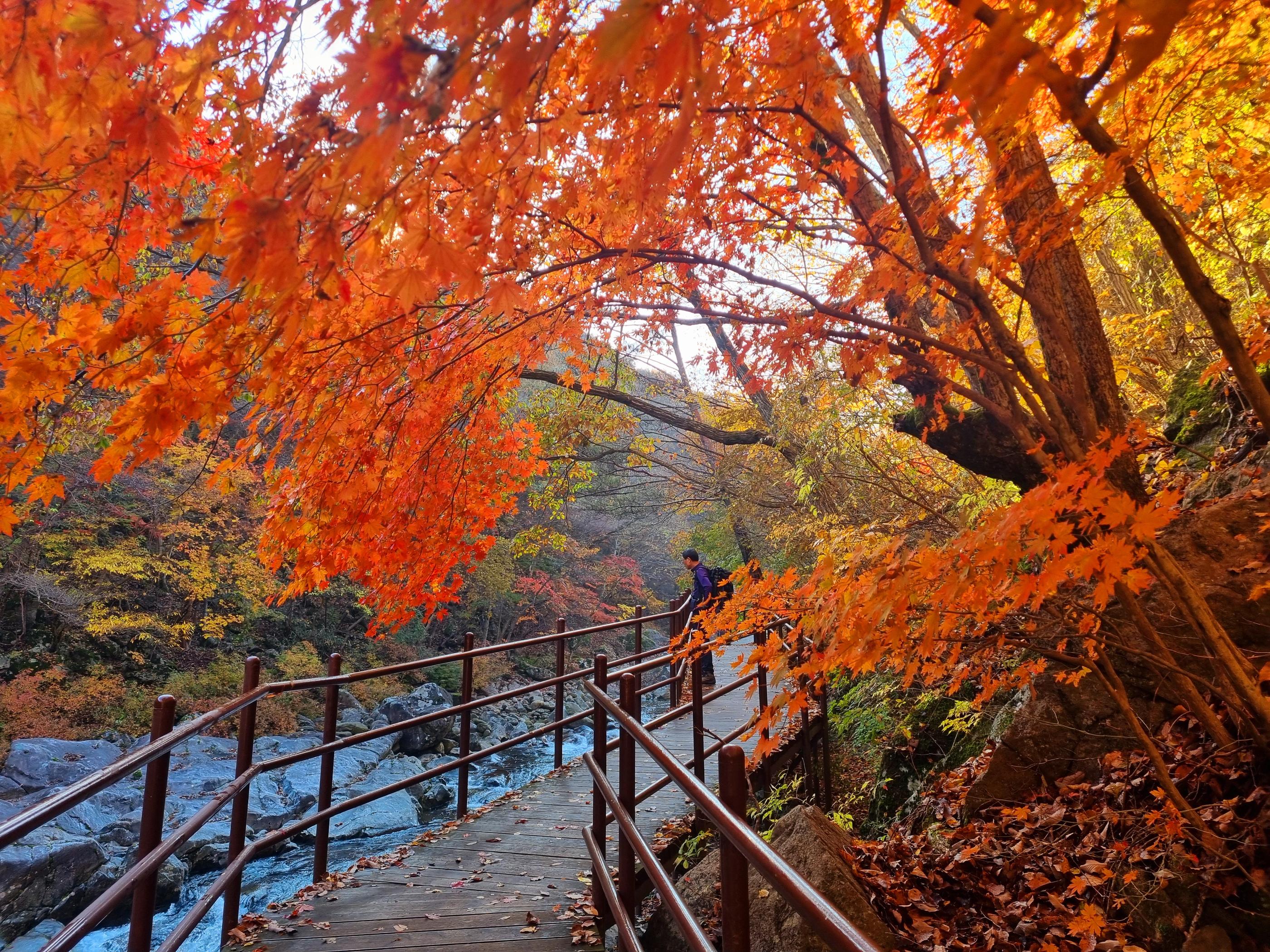 韓國行山路線風景，推薦外國旅客到訪韓國國立公園體驗自然旅行
