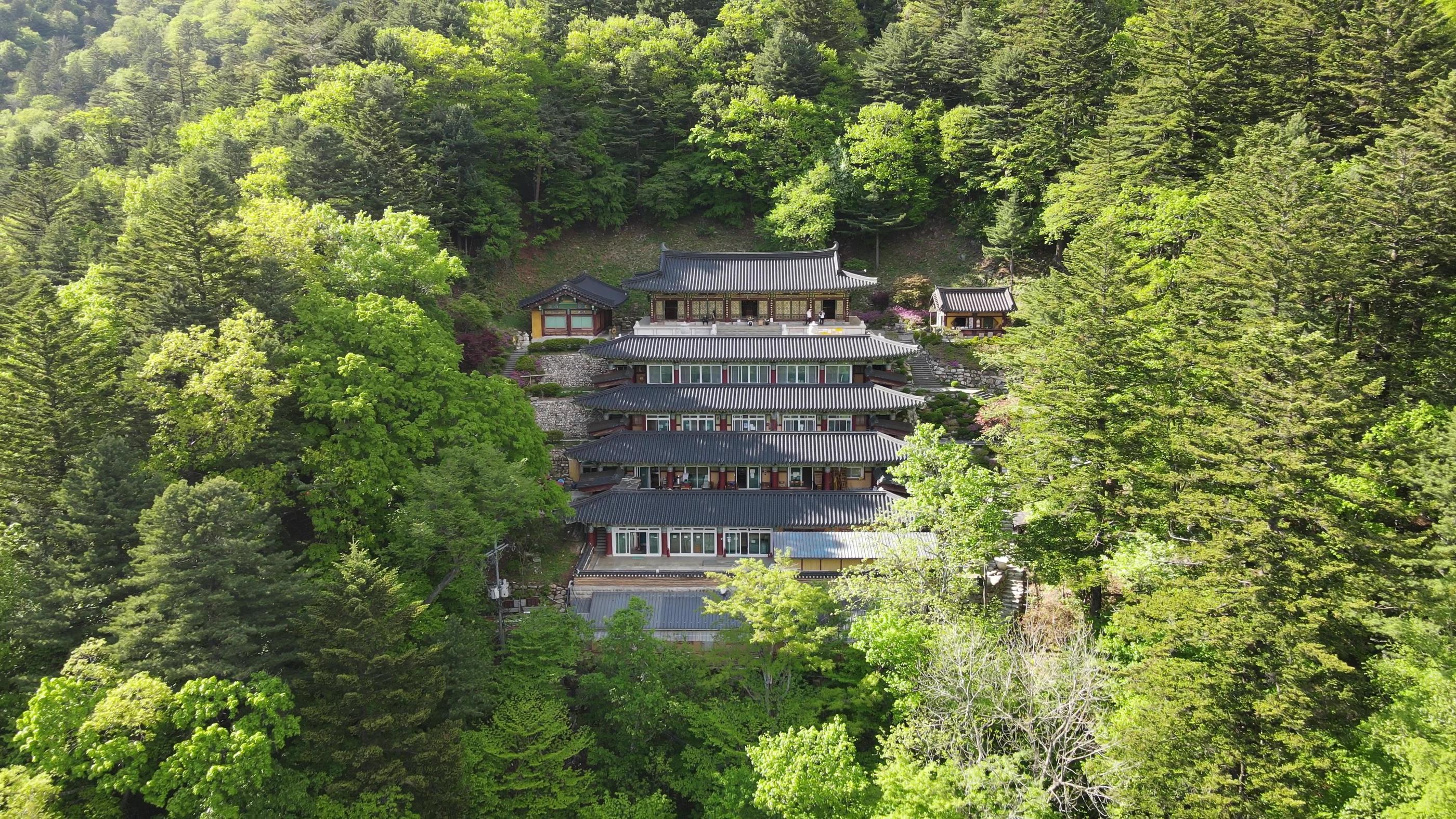 五台山國立公園森林步道，適合香港旅客到江原道體驗療癒系韓國行山
