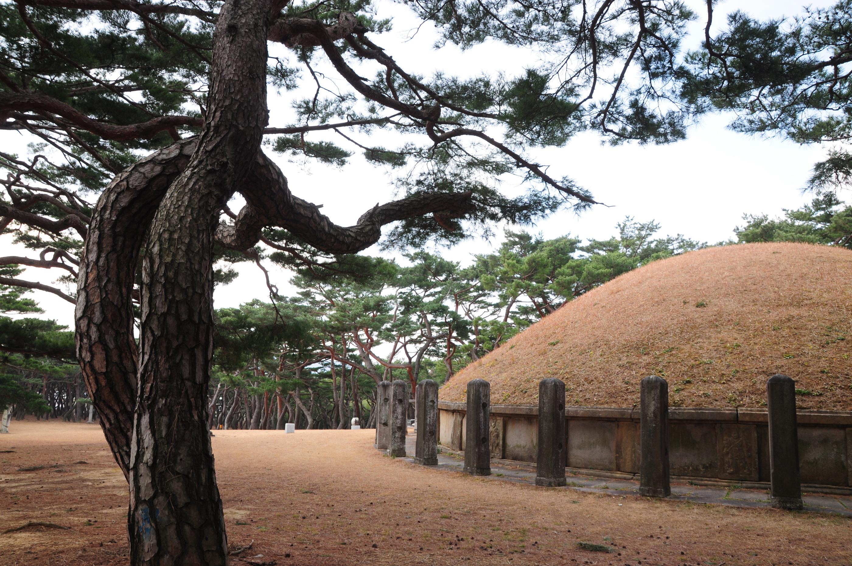 韓國慶州國立公園歷史徒步景點，適合自由行旅客安排半日行程
