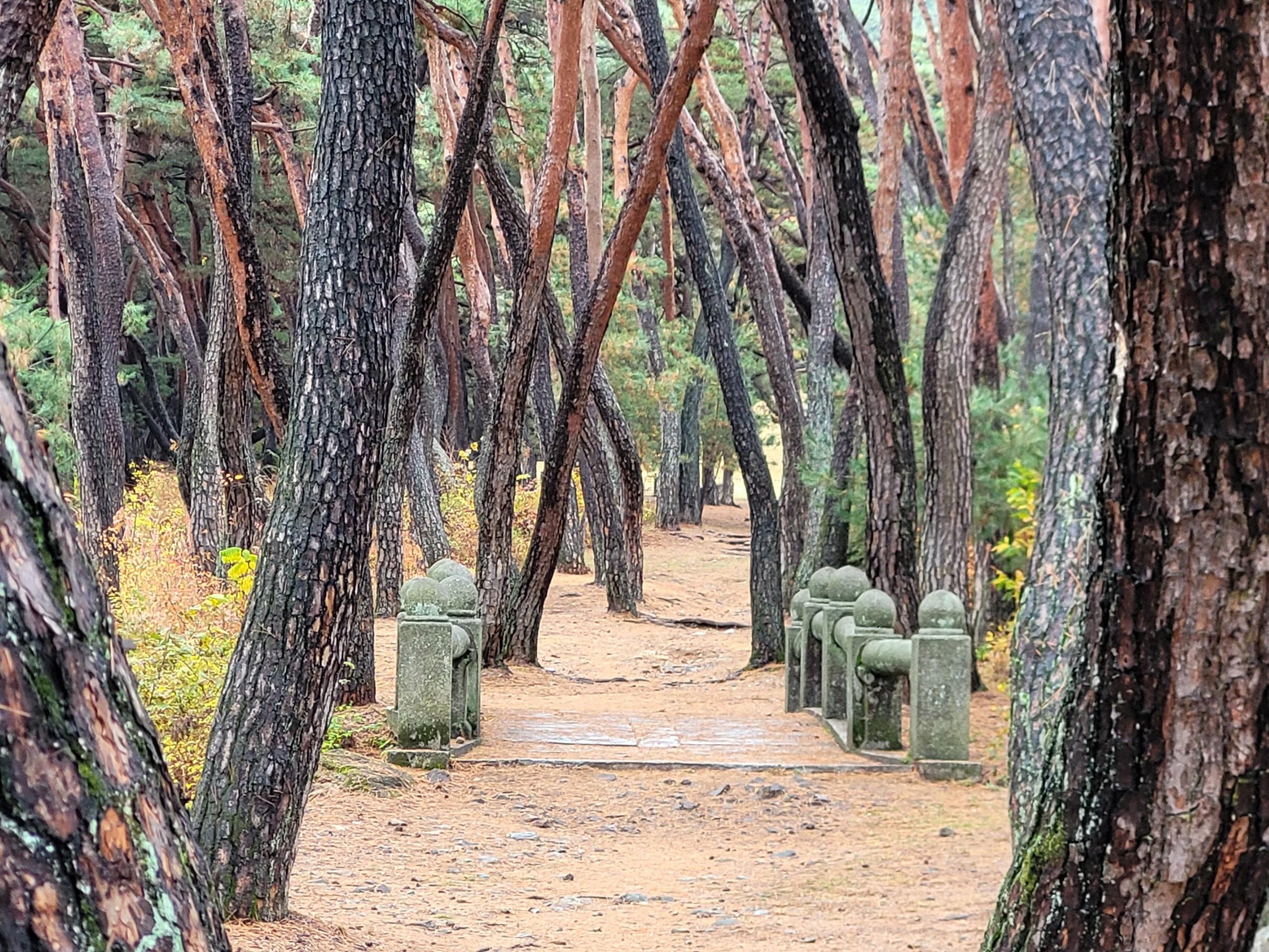 慶州南山國立公園自然與文化遺產路線,推薦韓國歷史行山體驗
