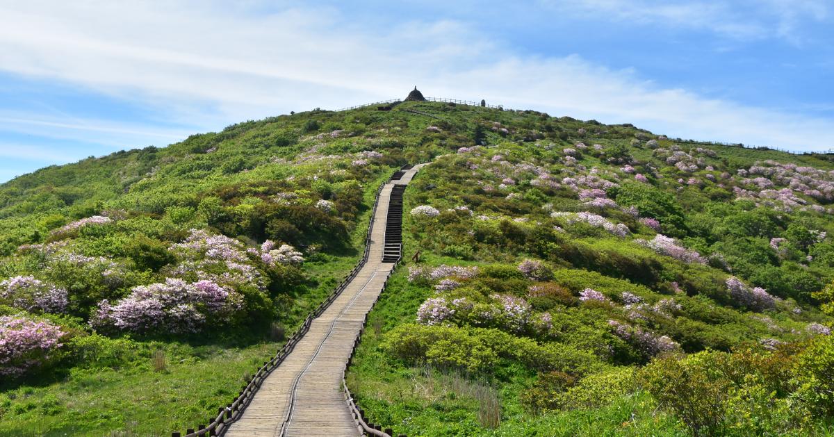 韓國國立公園行山指南2026 | 行山禮儀、免費安全裝備租借、常見問題