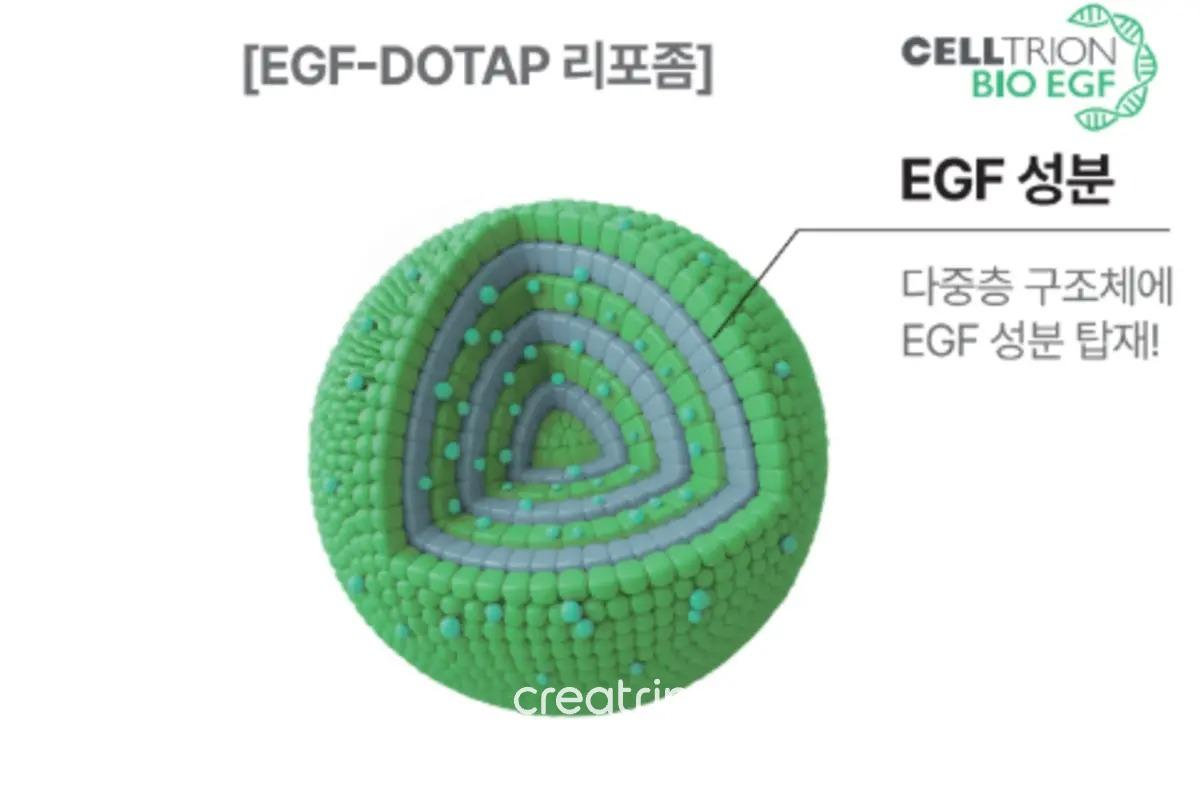 顯示包覆EGF成分的多層結構,EGF-DOTAP脂質體示意圖