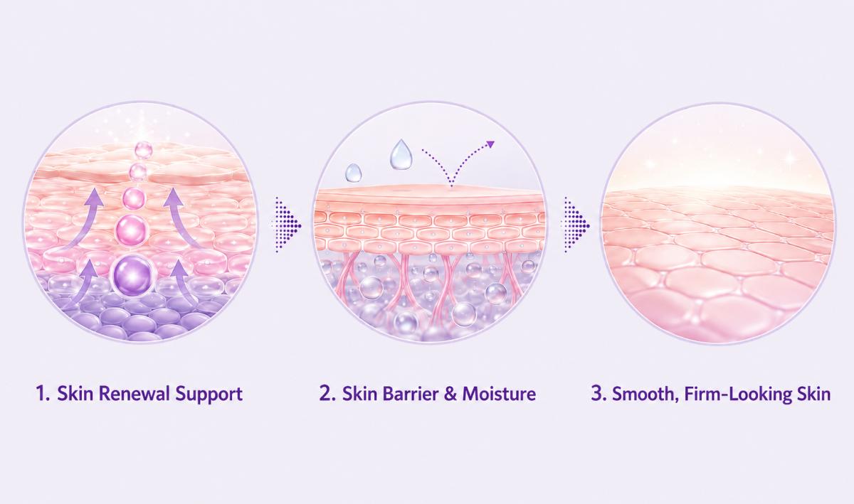 Diagram showing skin cell renewal and the formation of the outer skin barrier
