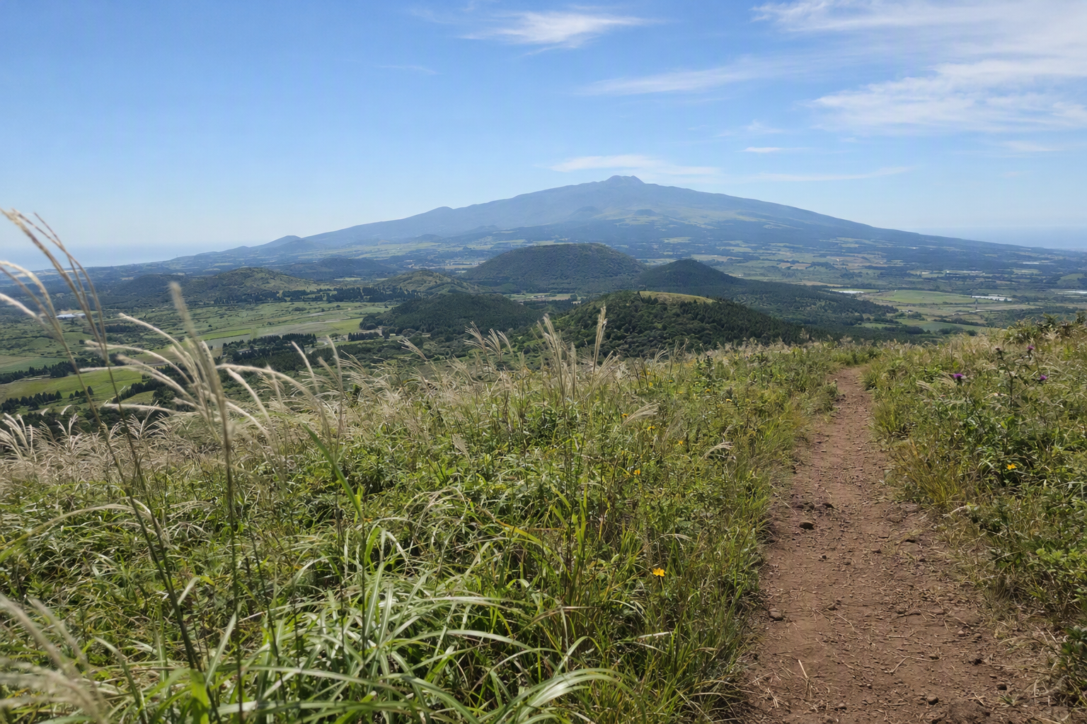 Bright, vibrant, photorealistic view of Hallasan and Jeju oreum cones under a clear blue sky with wild grass in the foreground, no Korean text