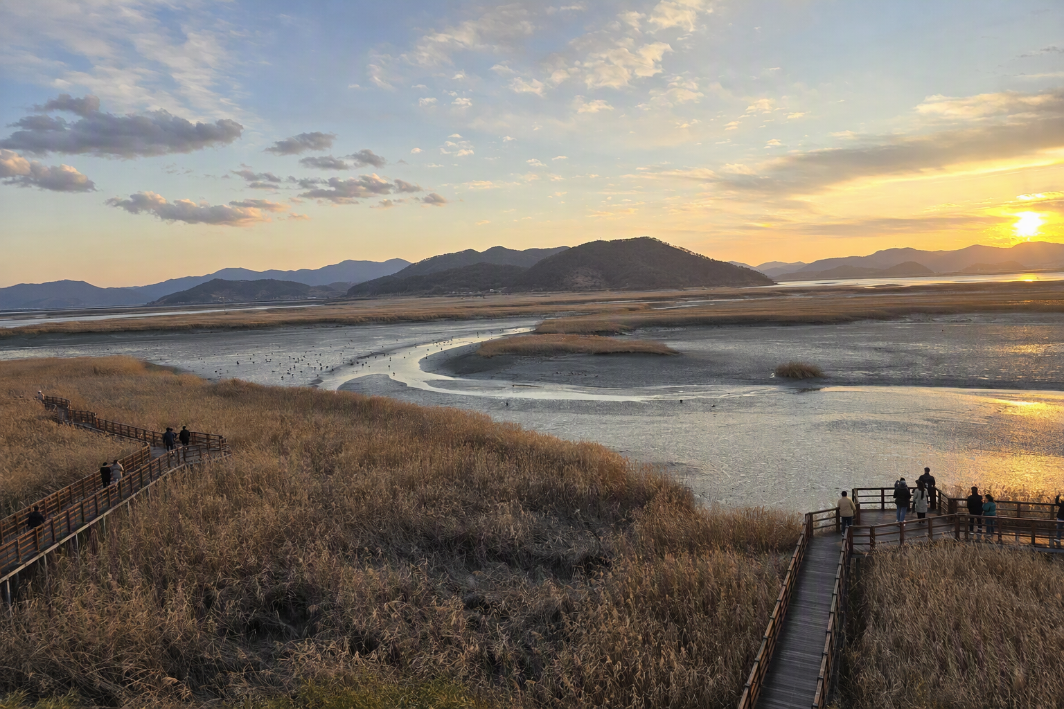Bright, vibrant, photorealistic view of Suncheon Bay wetlands with golden reeds, winding tidal channels, distant birds, soft sunset light, and no Korean text