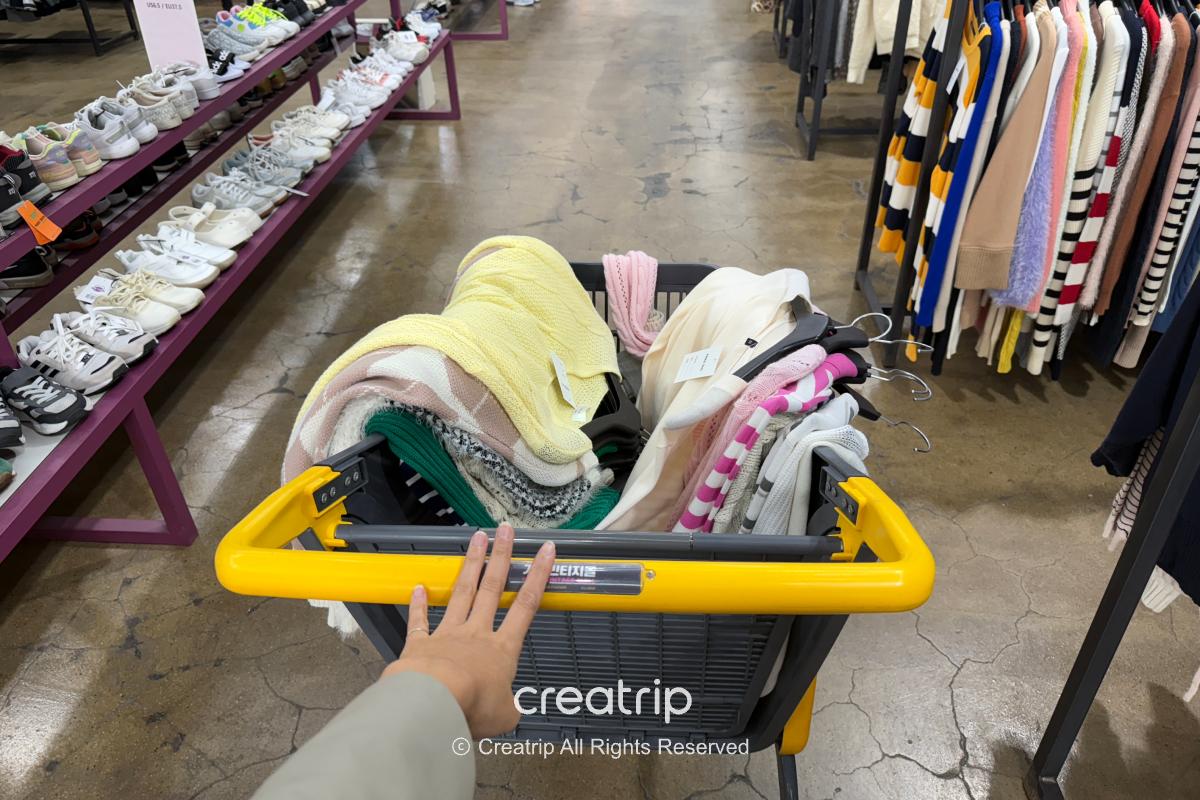 Freedy — Shopping cart holding selected clothes