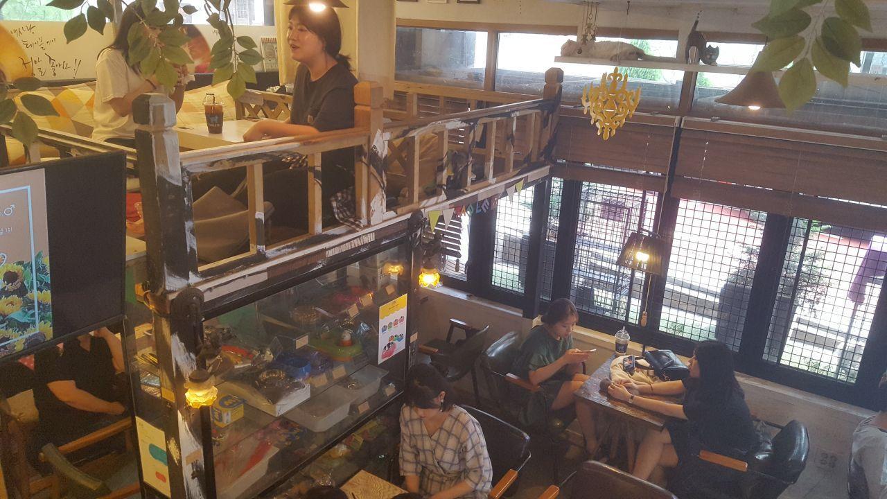A second-floor seating area in Table A café, providing a top view of the cafe's interior design with rustic furnishings and decorative plants.