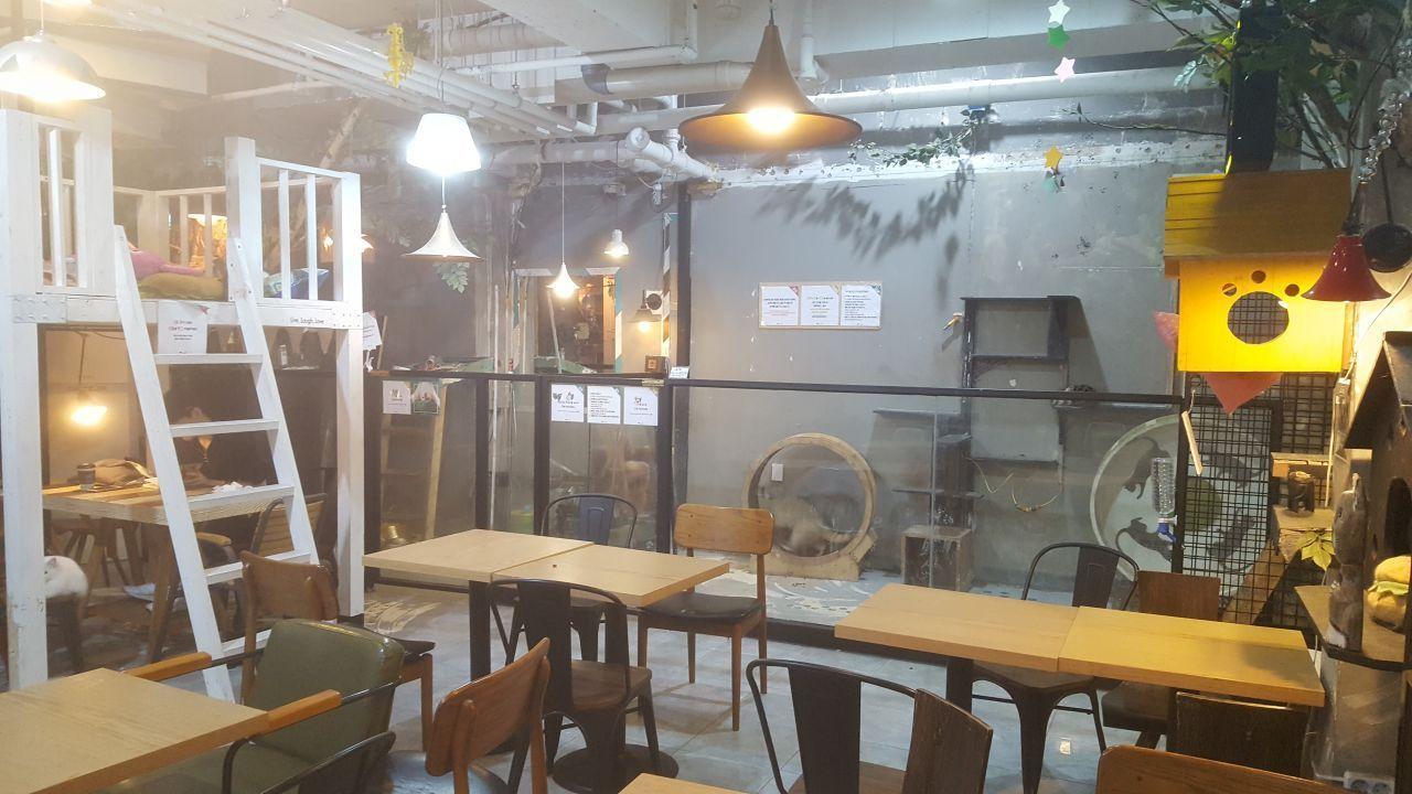 Ground floor of Table A café highlighting unique seating arrangements and ambient lighting, offering an inviting space for visitors.