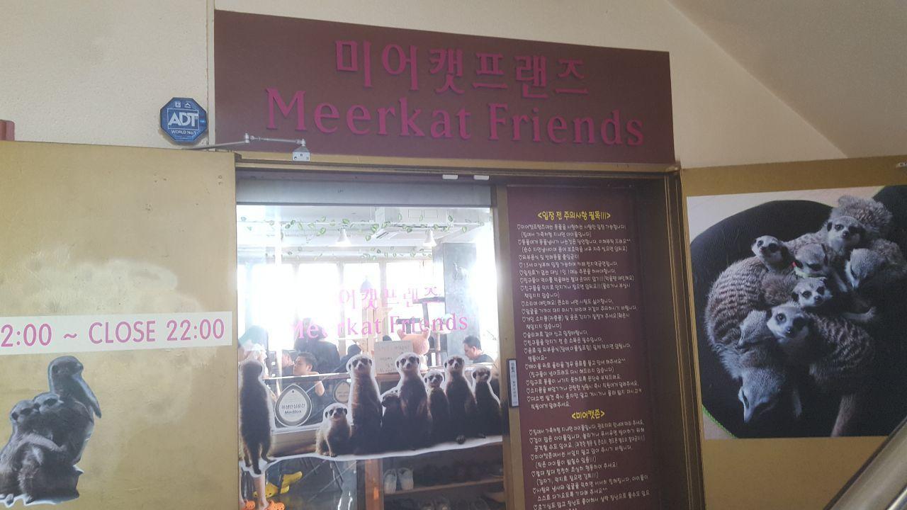 Entrance of Meerkat Friends café, showcasing a welcoming sign and educational information about interacting with meerkats.