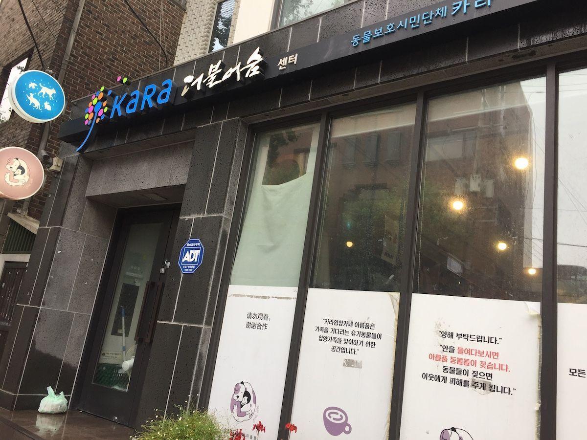 Exterior view of KARA dog café in South Korea, showcasing the simple and welcoming façade of an animal welfare organization-run establishment.