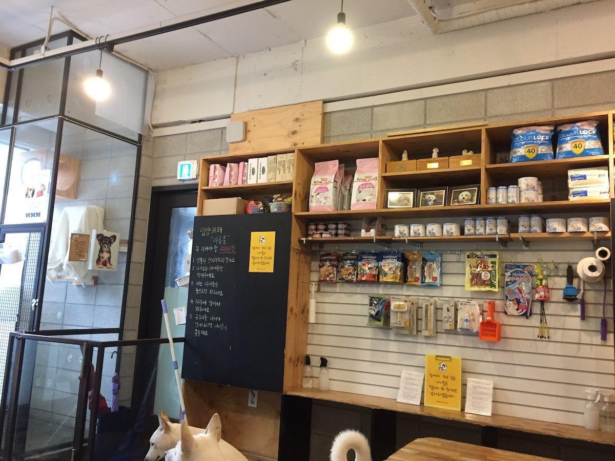 Dog products displayed at KARA dog café, focusing on a selection of items for canine care.