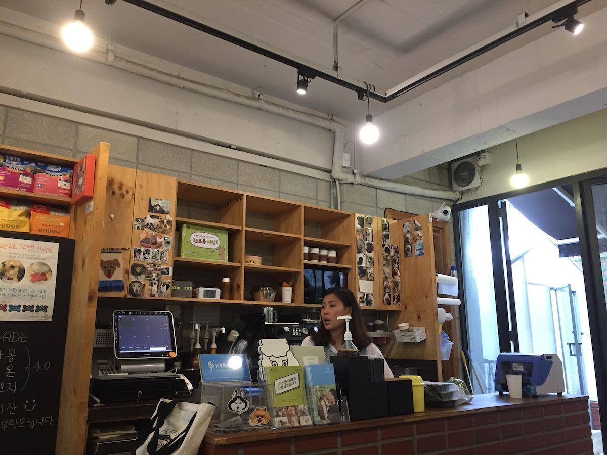 Bar counter at KARA dog café offering coffee and dog-related products, illustrating a simple yet functional interior.