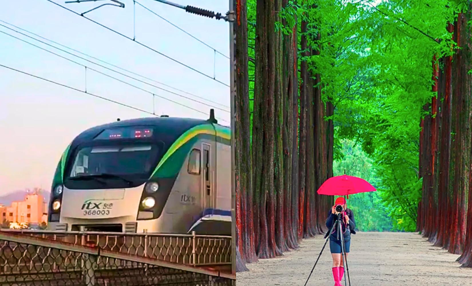Cách tự đi từ Seoul đến đảo Nami bằng xe buýt, tàu ITX và tàu điện ngầm