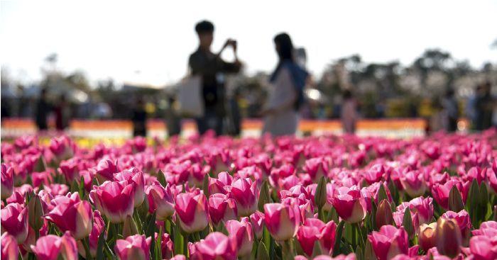 韩国男生恋爱观