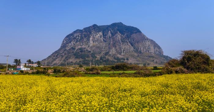 濟州島旅行5個TIPS