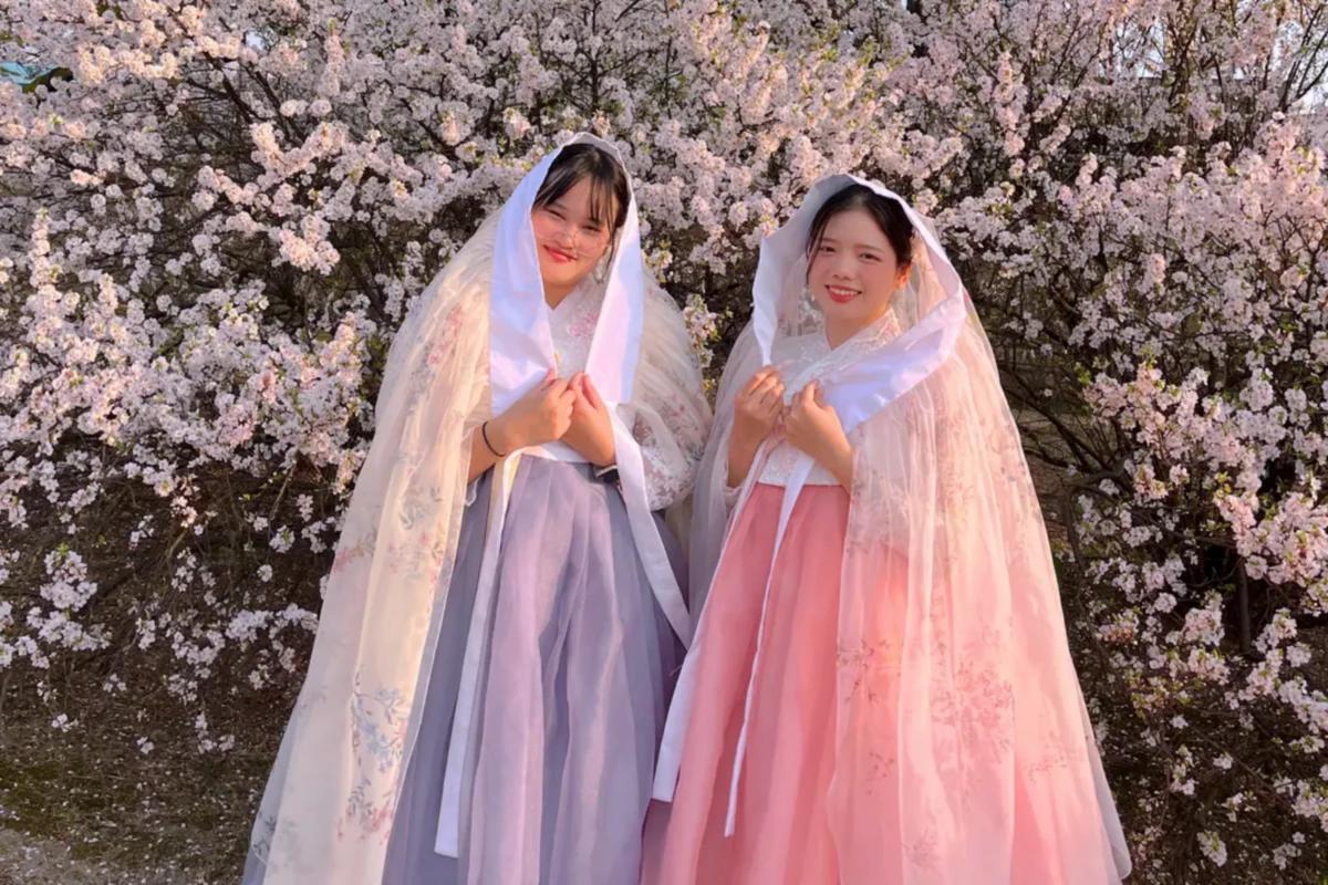 韓服少女のレンタル店で見られる、ユニークなデザインの韓服コレクション。多様なデザインが揃う。