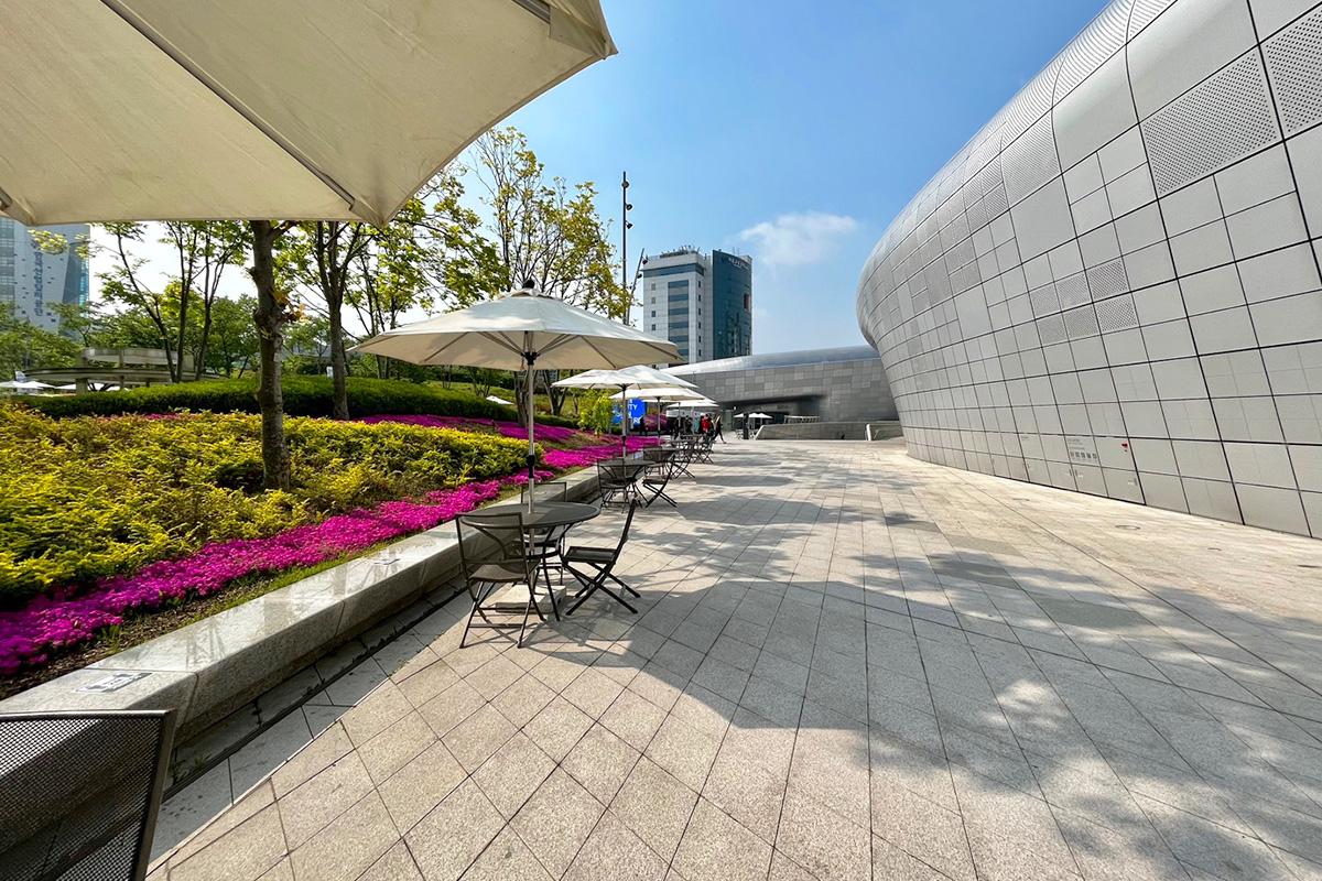 東大門デザインプラザ(DDP)庭園の景観。カフェテラスから見たDDP周辺の美しい緑が豊かな景色。日当たりが良く、訪れる人々がリラックスできる場としての魅力を持っています。