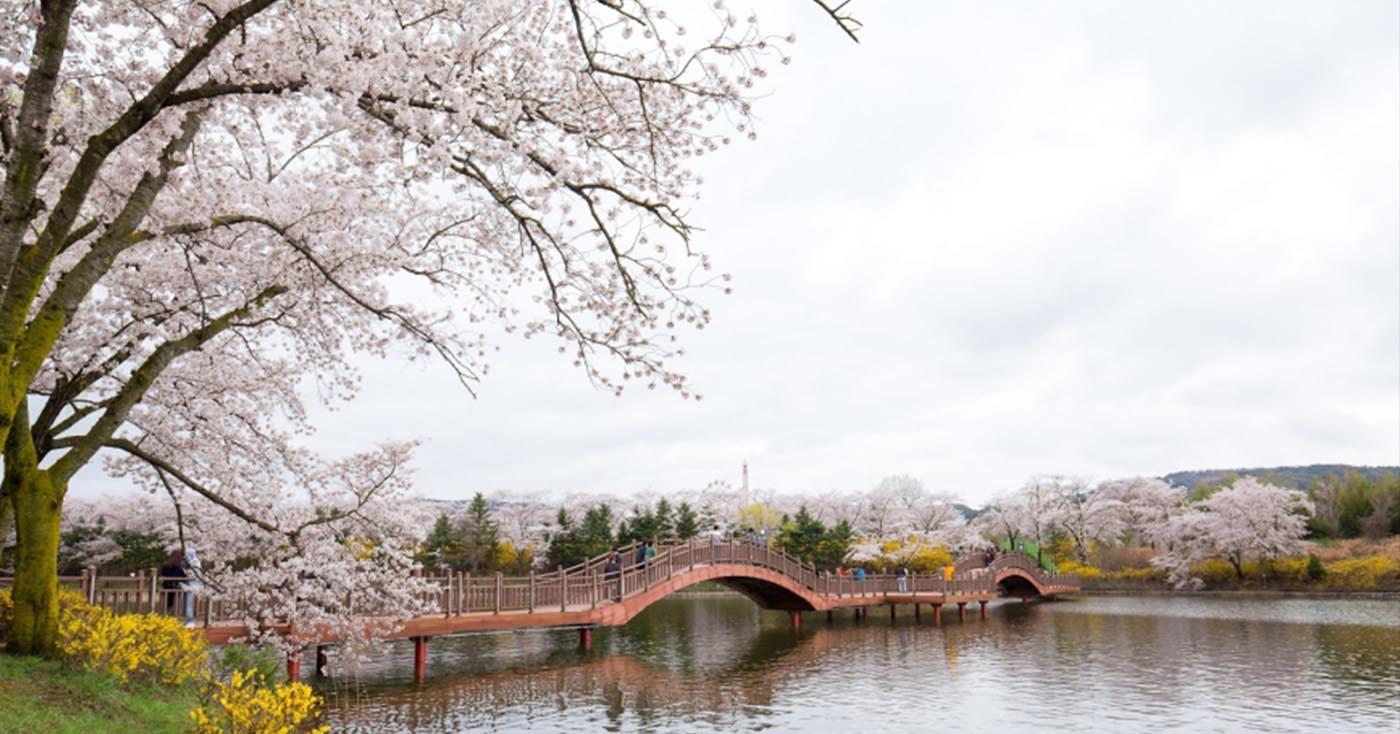 慶州旅遊懶人包