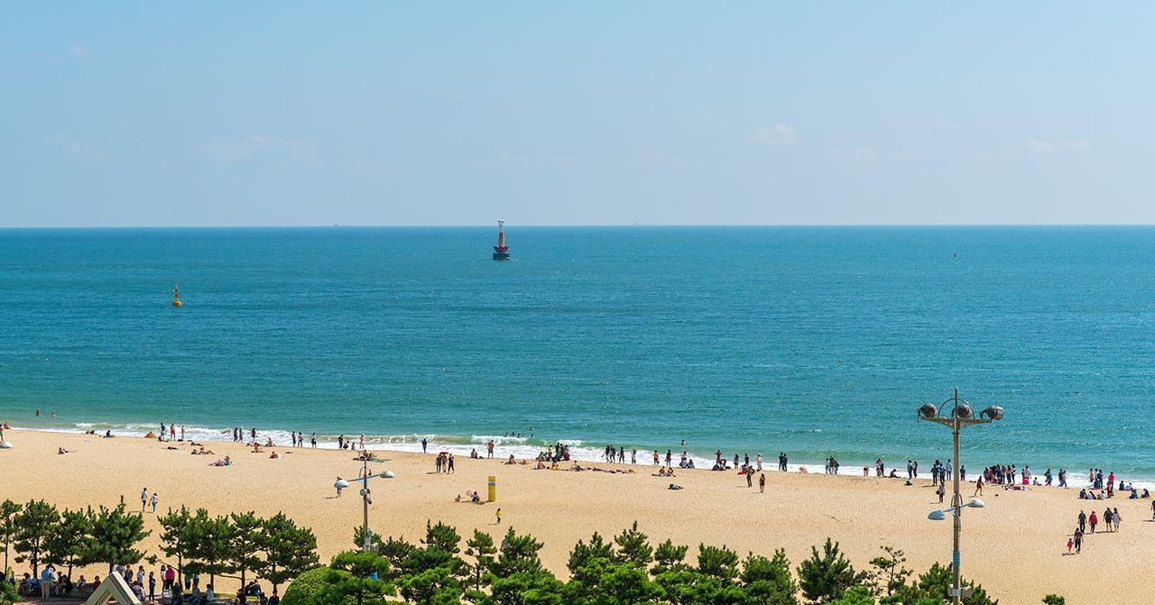 Panduan Lokal untuk Kafe di Haeundae Busan Tahun 2025