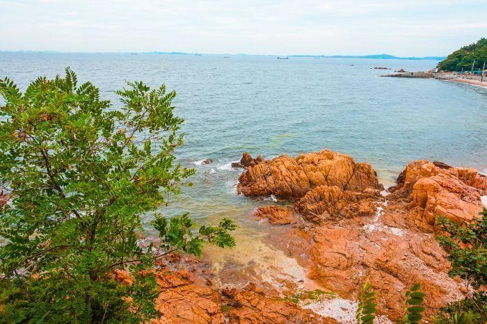 A vibrant seaside view from Muido Island, featuring lush greenery and striking red-orange rock formations.