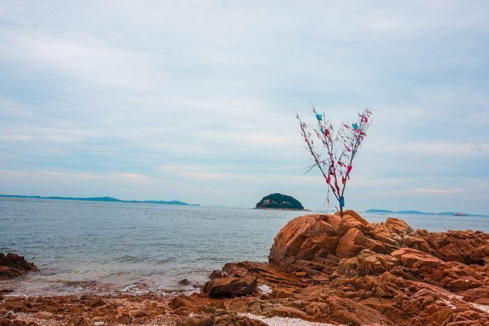 A view of a calm sea stretching towards the horizon at Hanagae Beach.