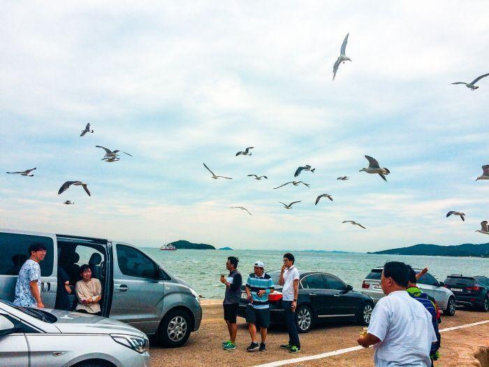 Visitors walking along the shore at Muido Island enjoying the natural scenery.