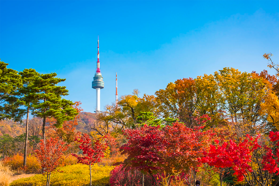 首爾 楓樹 景點