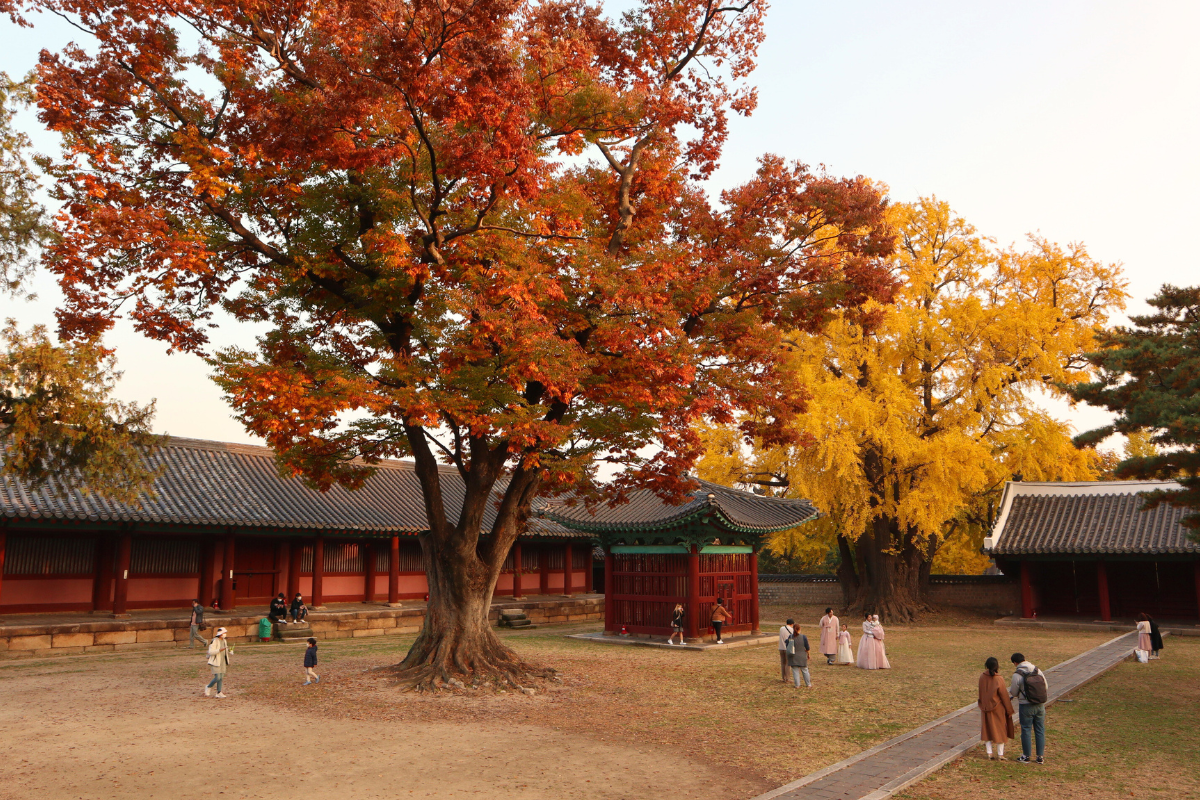 Sungkyunkwan University's Myeongnyundang Hall during fall, surrounded by red and yellow autumn leaves in Seoul.