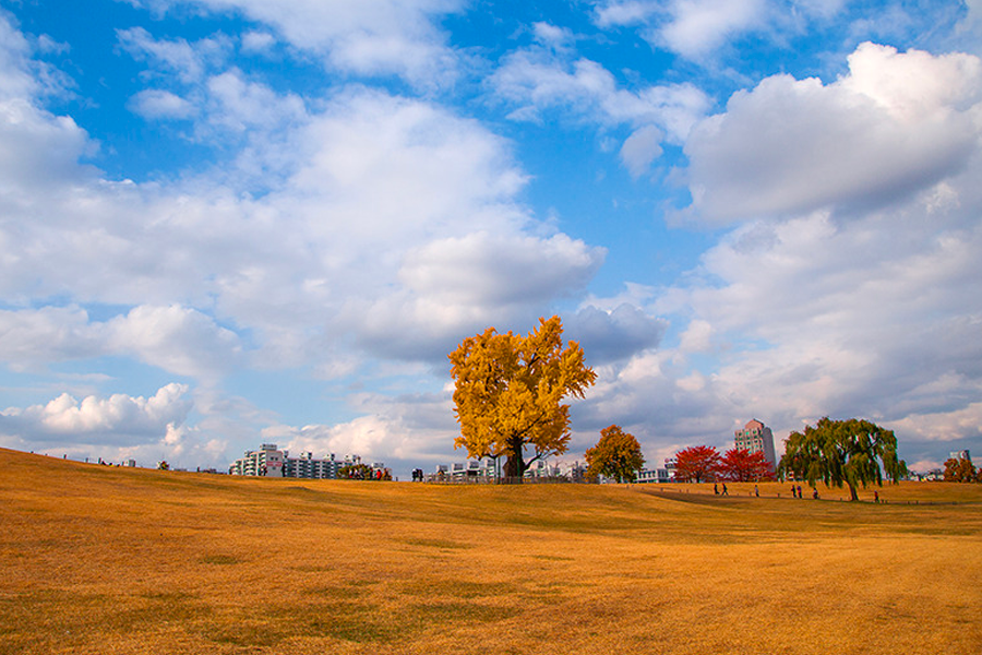 韓國秋天 賞楓 推薦 景點2025