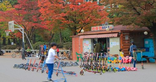 Creatrip: สถานที่ชมใบไม้แดงที่สวยที่สุดในฤดูใบไม้ร่วงที่กรุงโซล ประเทศเกาหลี