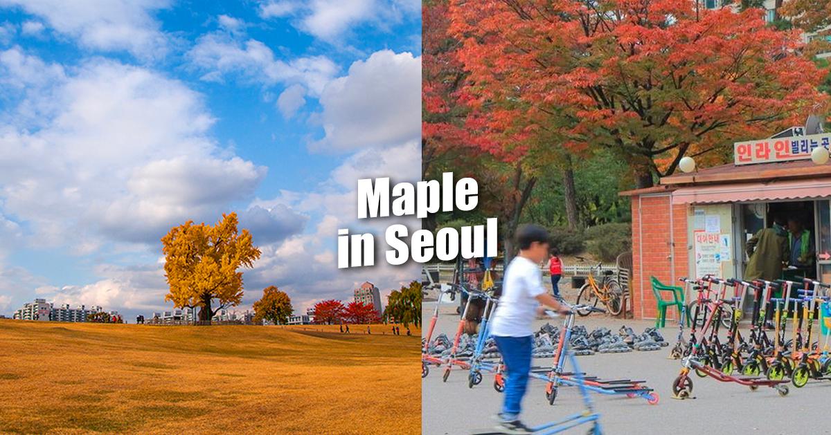 2024首爾市區賞楓懶人包
