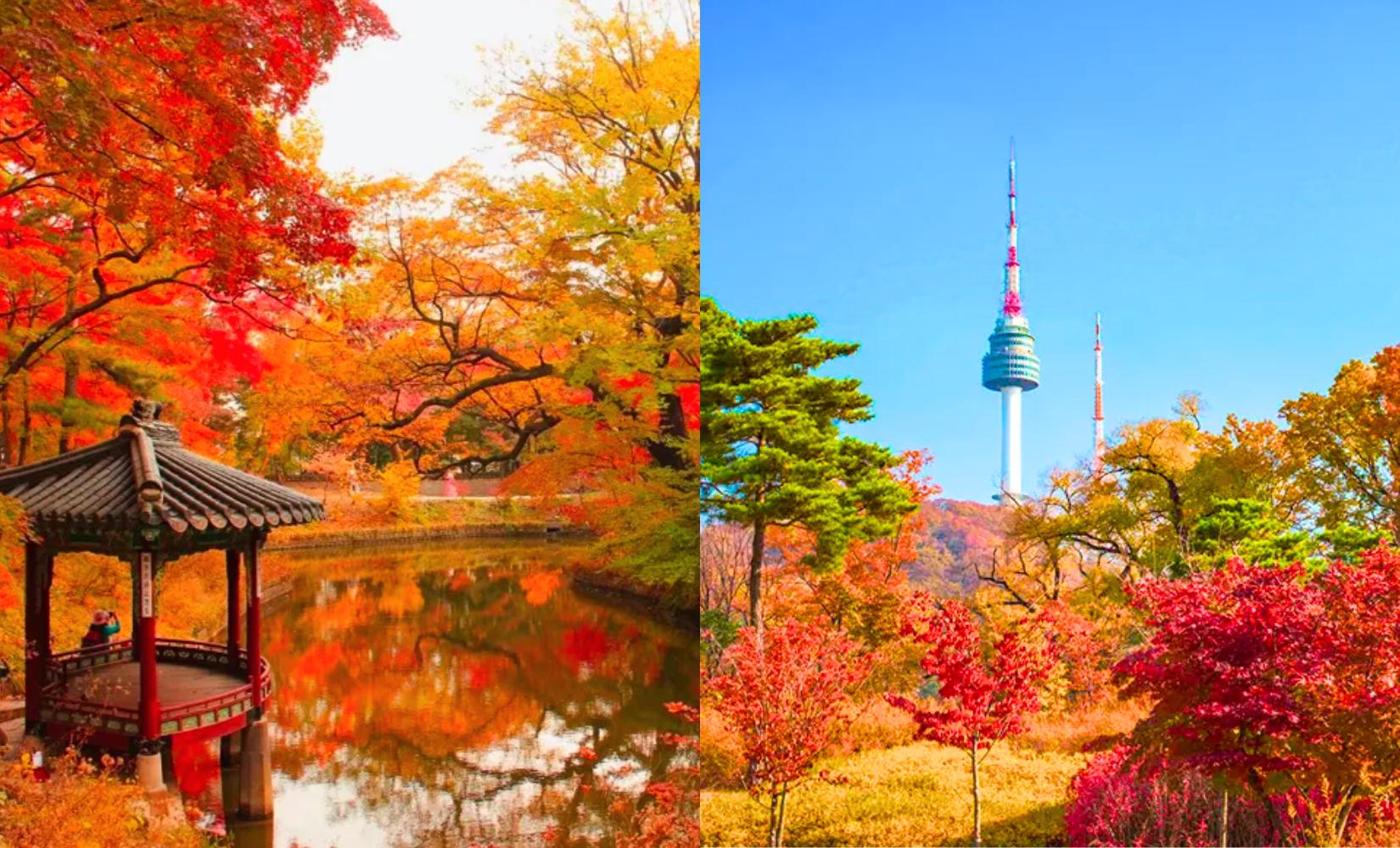 Tổng hợp địa điểm ngắm lá đỏ đẹp nhất mùa thu Seoul, Hàn Quốc 2023