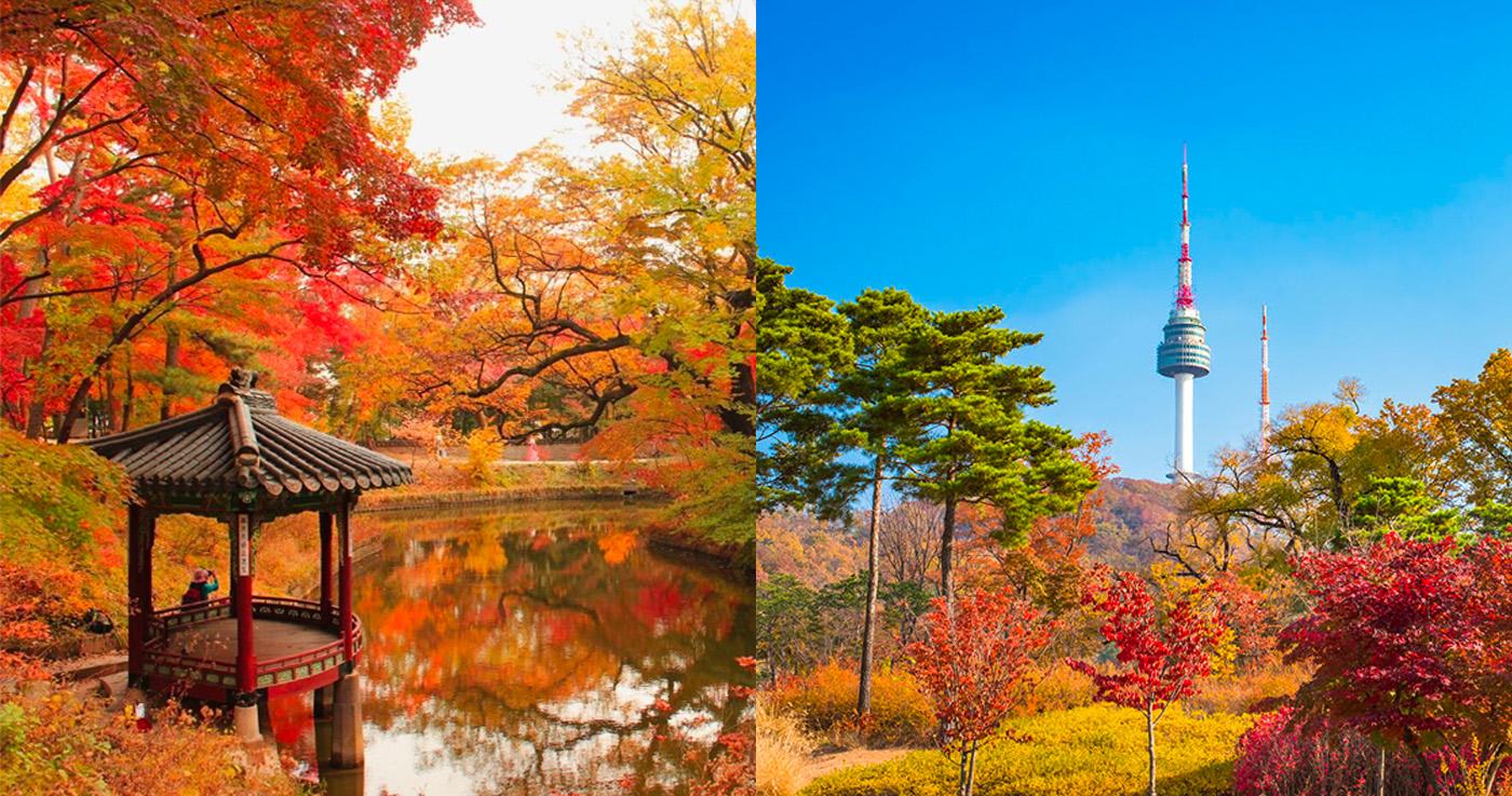 สถานที่ชมใบไม้แดงที่สวยที่สุดในฤดูใบไม้ร่วงที่กรุงโซล ประเทศเกาหลี