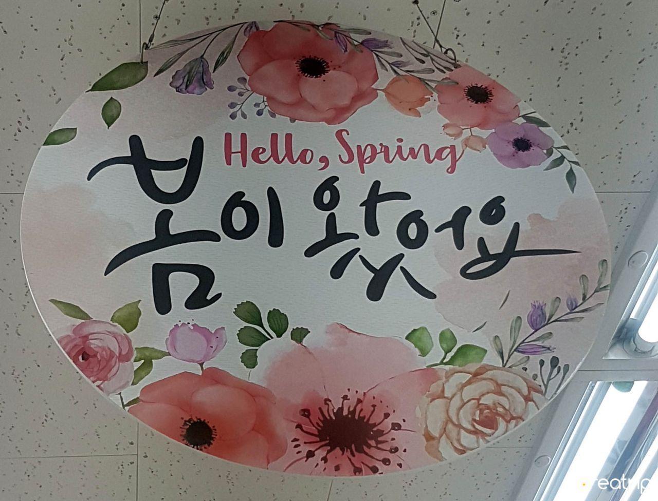 ป้ายต้อนรับฤดูใบไม้ผลิพร้อมลายดอกไม้สีพาสเทลที่ร้าน Daiso ในเกาหลี