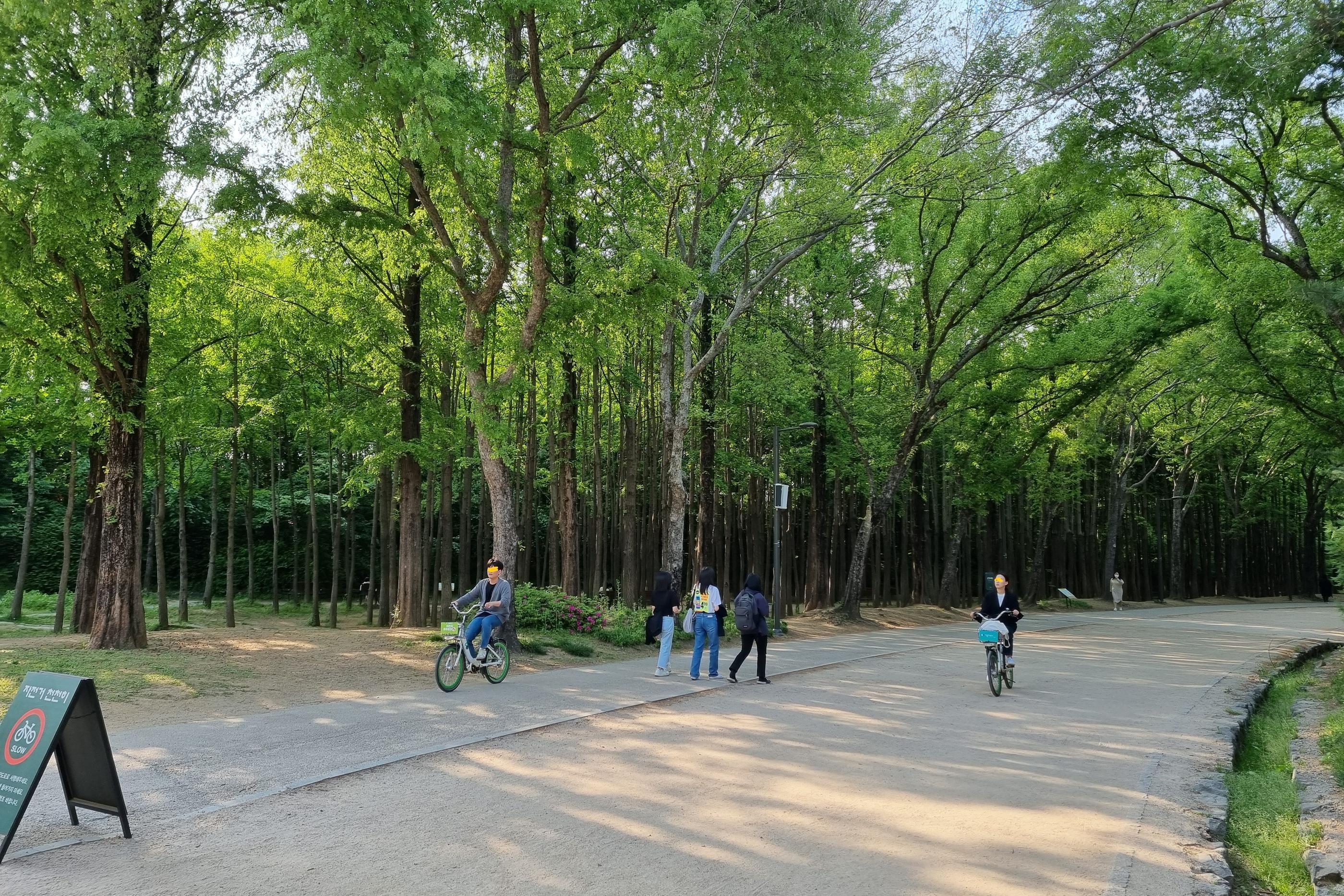 Creatrip: สวนสาธารณะ Seoul Forest ฉบับ 2022