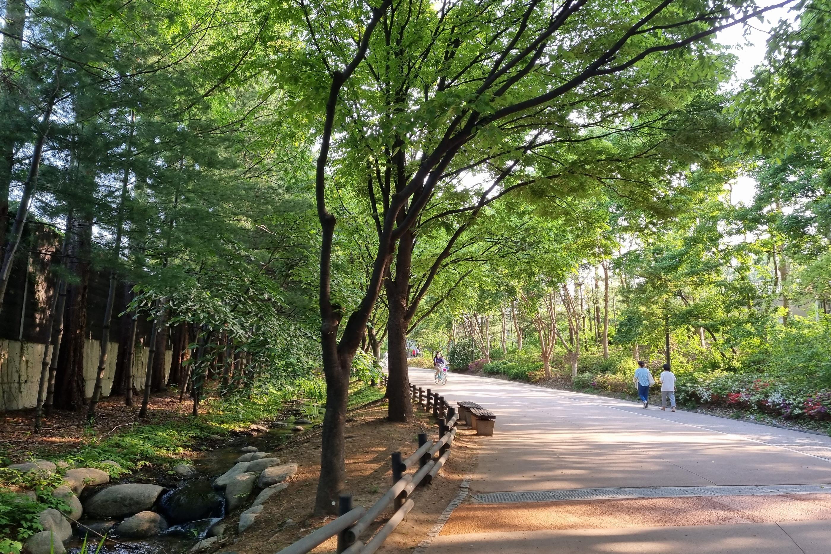 Creatrip: Công viên rừng Seoul (Seoul Forest): Khu rừng xanh mát giữa lòng  Seoul