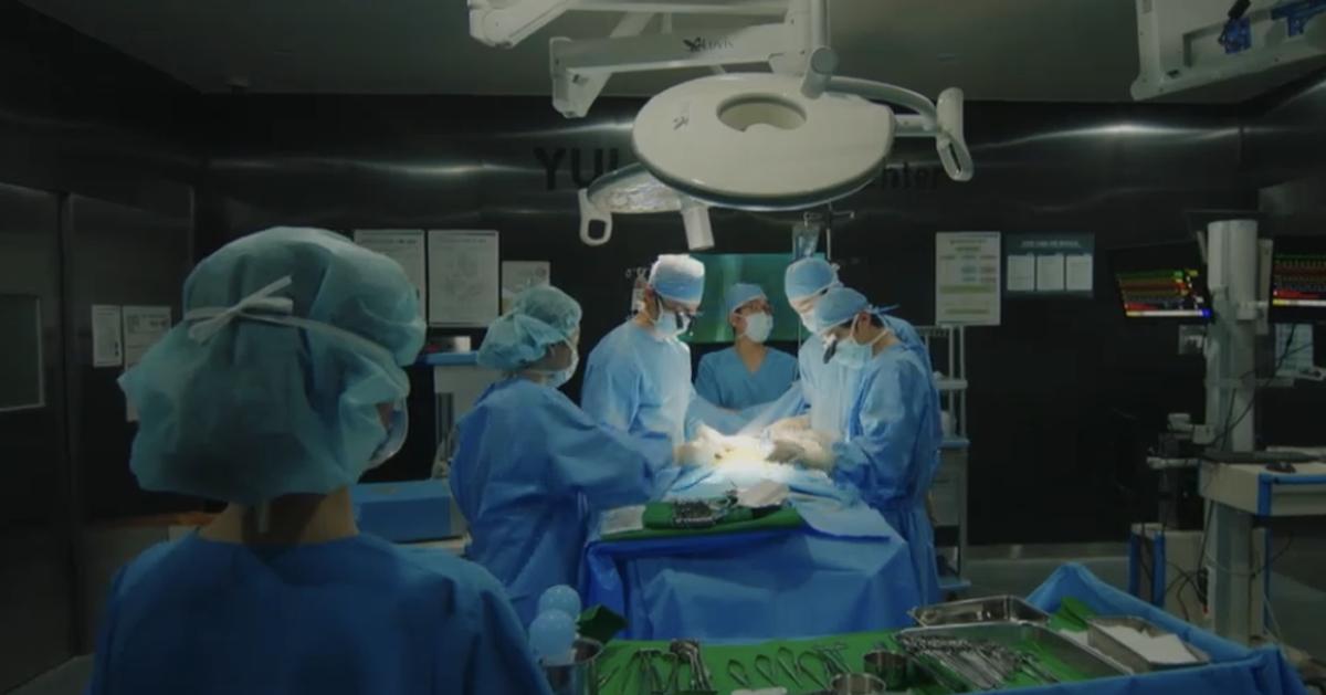 韓國器官捐贈/移植整理