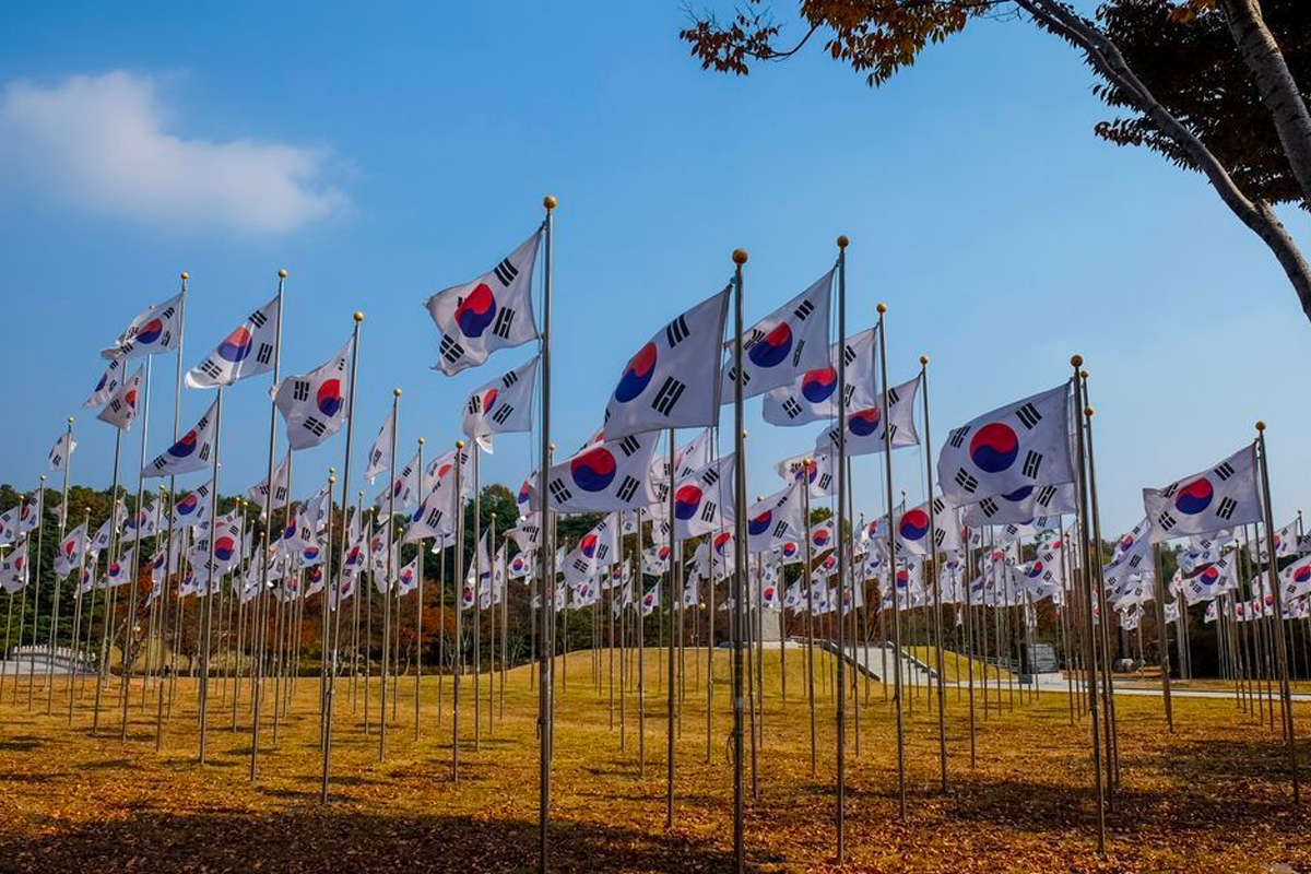 一大片開闊草坪上，眾多的韓國國旗在藍天白雲下整齊排列，迎風飄揚。
