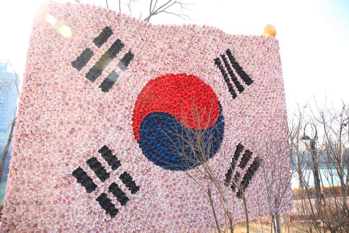 用大量粉色花朵拼貼構成的韓國國旗，背景是城市的天空與樹木。