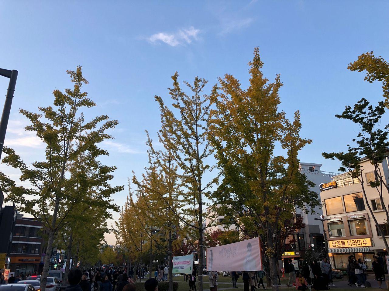 Seoul bus No. 721 guide