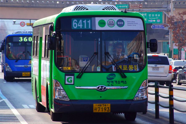 A green branch bus in Korea operating on secondary lines, suitable for short commutes and connecting residential areas to subway stations.