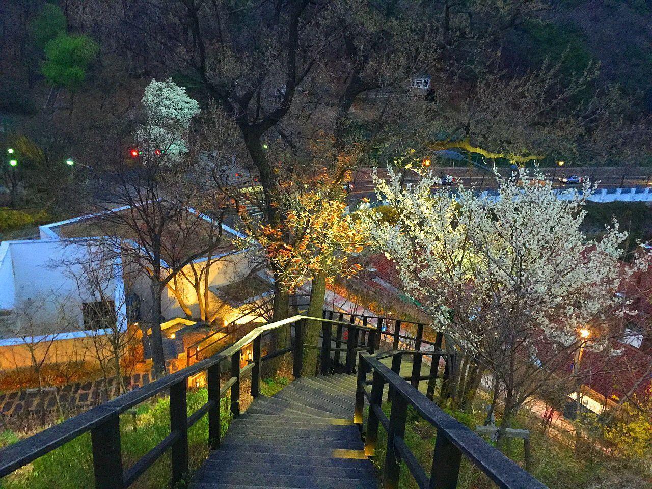 夜晚灯光下的清云公园步道，鲜花和绿树围绕，让人享受宁静的夜景。