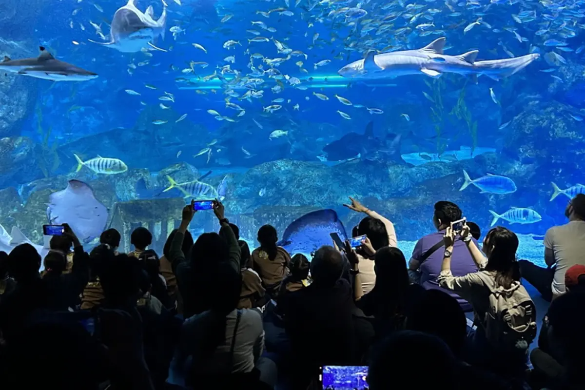 韓國雨季 韓國夏天 韓國雨季活動 韓國雨天活動 韓國室內活動 韓國室內體驗 韓國雨季體驗推薦 2025