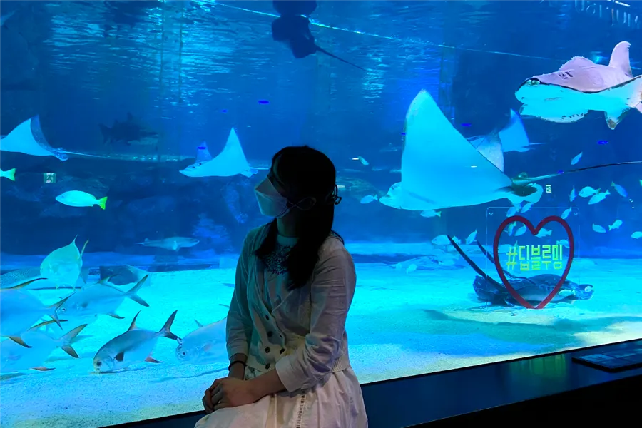 아쿠아리움 내부, 시원한 수조에서 다양한 해양 생물들을 구경하는 모습.