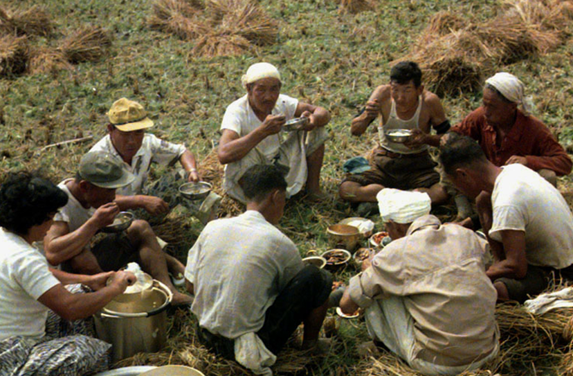 Những nông dân Hàn Quốc đang thưởng thức makgeolli trong giờ nghỉ, thể hiện sinh hoạt thường nhật và đời sống văn hóa.