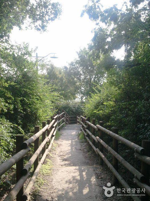 A scenic pathway surrounded by greenery leading to Ünpong Mountain, offering a quiet retreat amidst nature in Seoul.