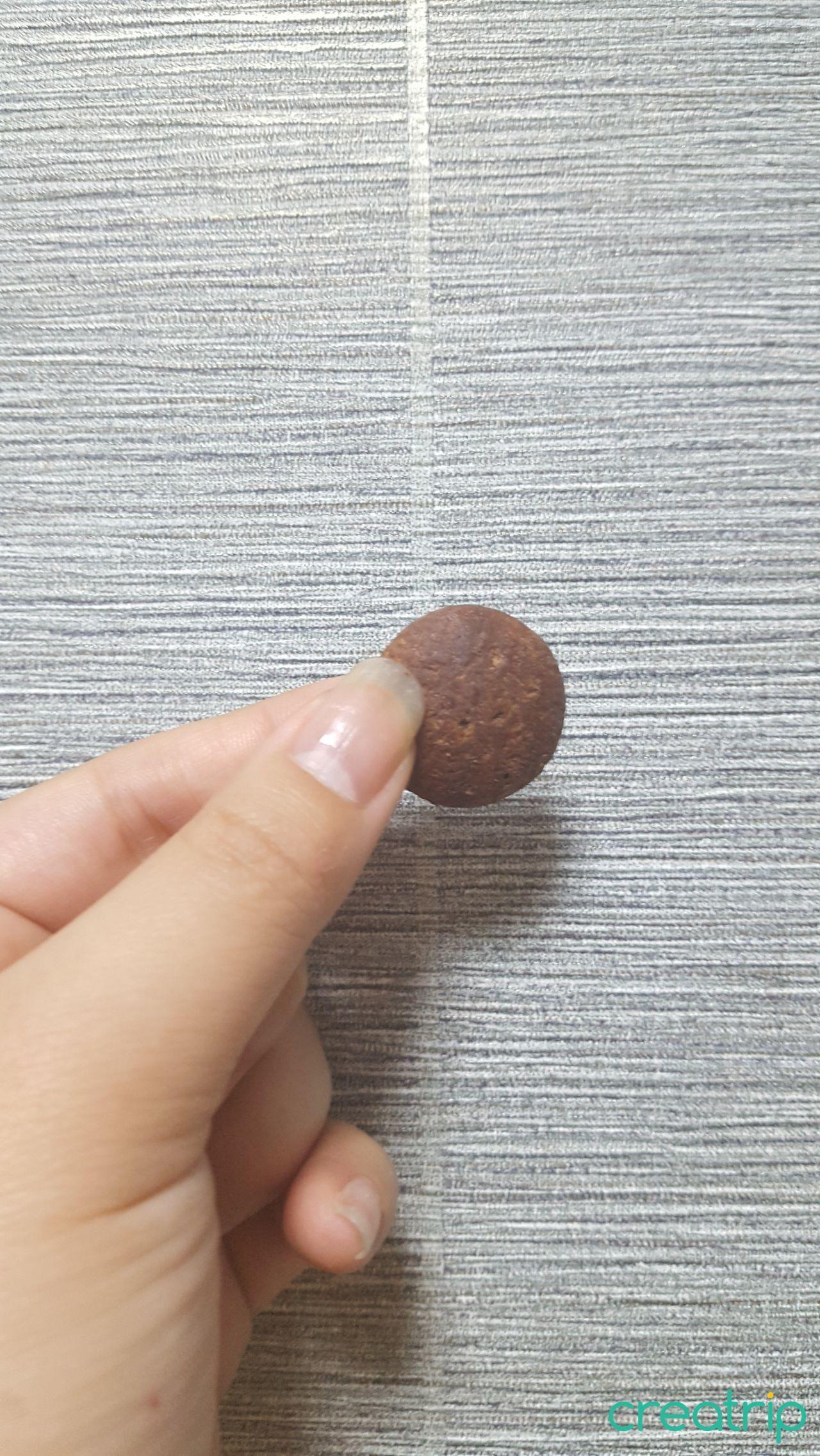 A singular piece of Choco Moon cookie resembling a tiny chocolate moon.